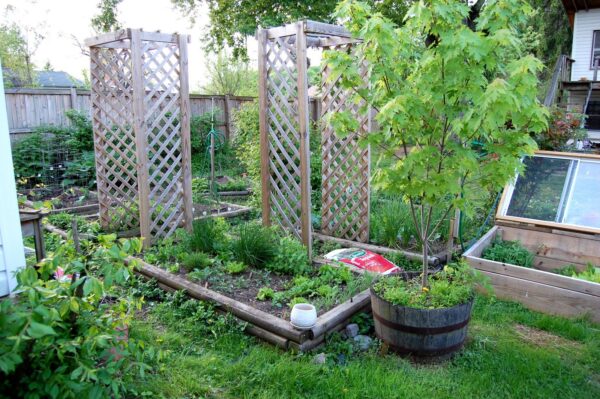 Top 5 Ways To Transform Your Garden Space