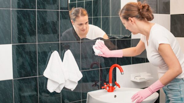 How to get rid of garbage soap and mold in your bathroom