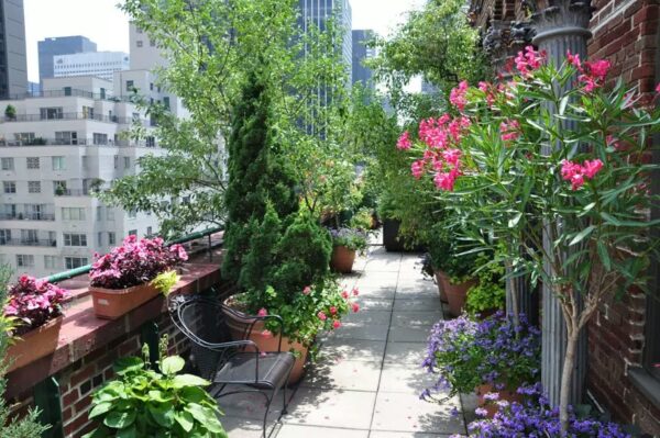 Terrace of gardens of the city of New York.