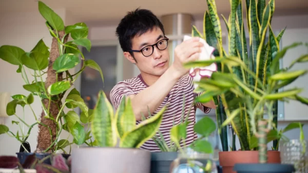 “Thriving Indoors: A Beginner’s Guide to Indoor Plant Cultivation”